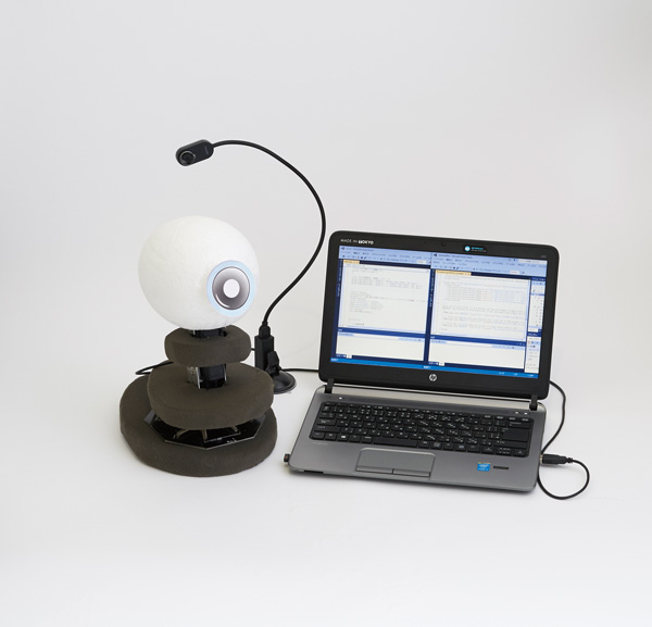 コミュニケーションの「間」を埋める、今までとは異なる発想のロボットを研究開発しています