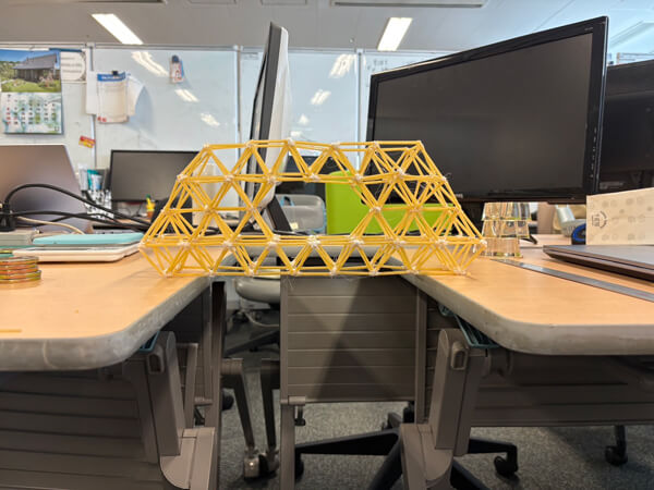 研究室の活動の一環でパスタブリッチコンテストに参加した際の製作の様子