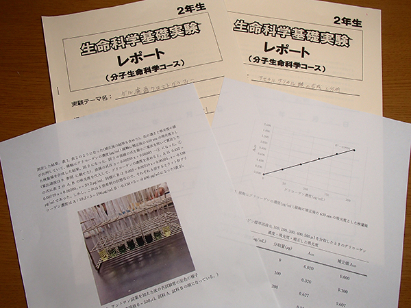 2年次のレポート