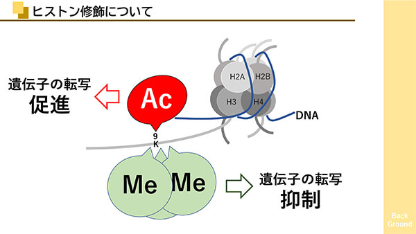 論文抄読会で使用したスライド。わかりやすいように図を多く入れた。