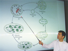 植物生理学　講義の様子