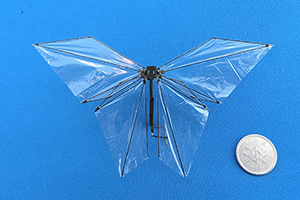 Development of a Butterfly-Style Flapping Robot