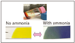 World's First! Detect Decay Gases with Color Change – Instantly Visualize Ammonia Gas! -Development of Ionic Liquid Sensors -