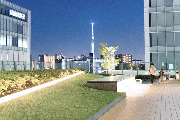 校舎の向こうに見えるスカイツリーの夜景