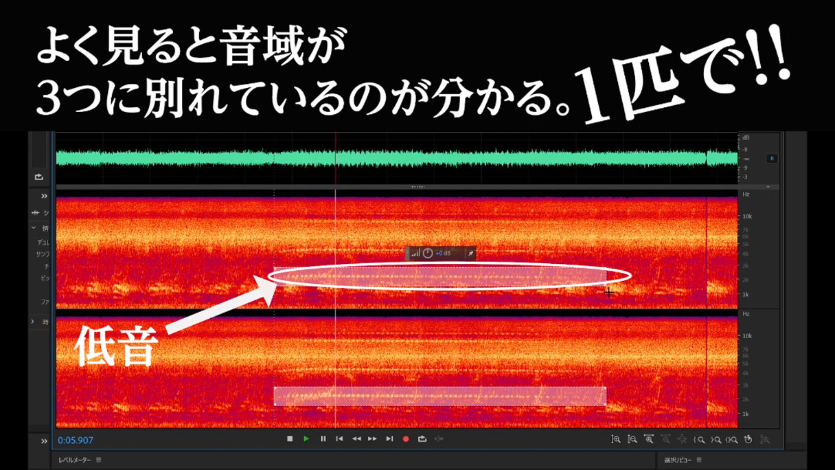 幾何学的!森のソノリティー