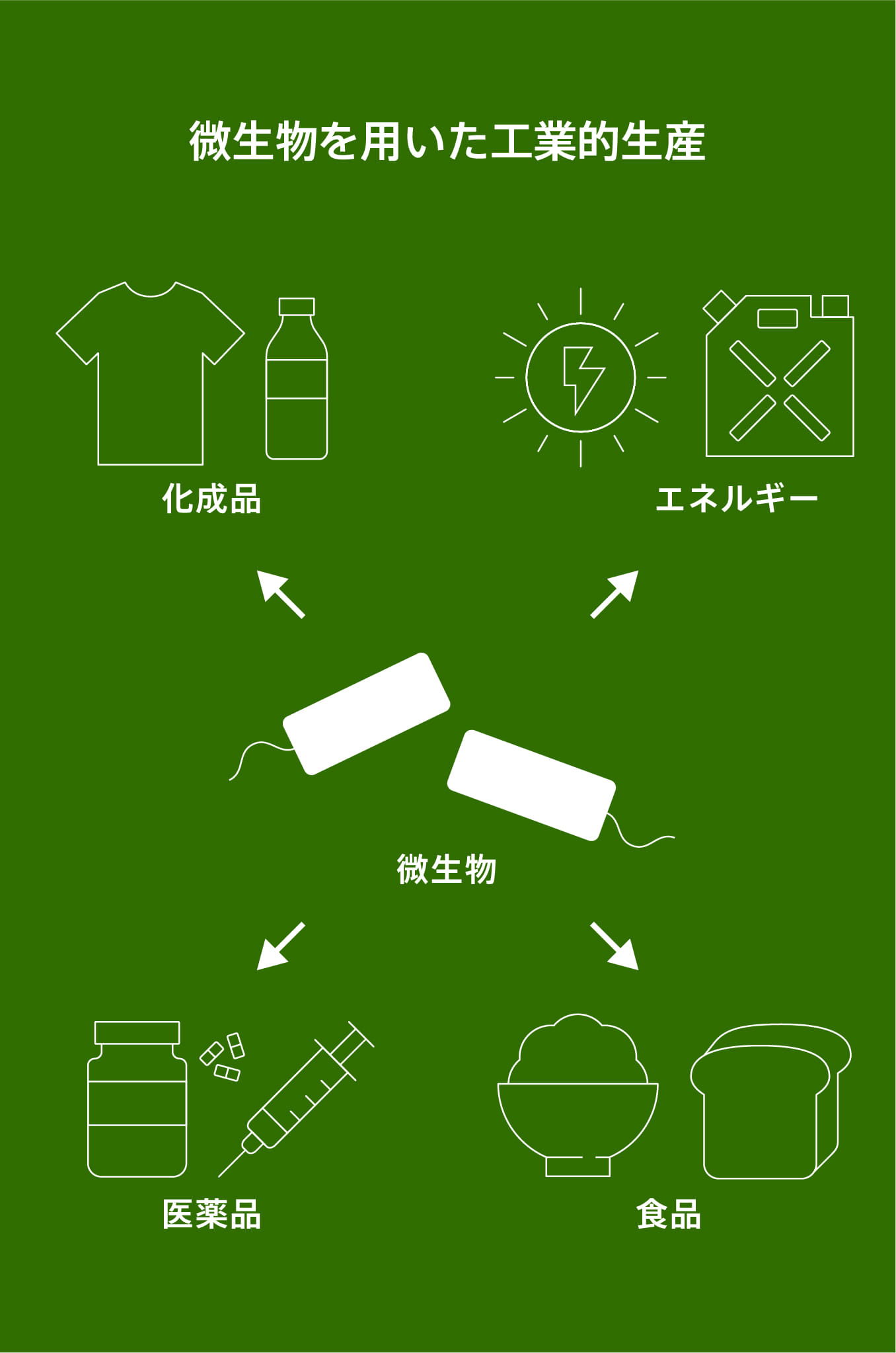植物由来医薬品原料の微生物生産技術開発のイメージ画像